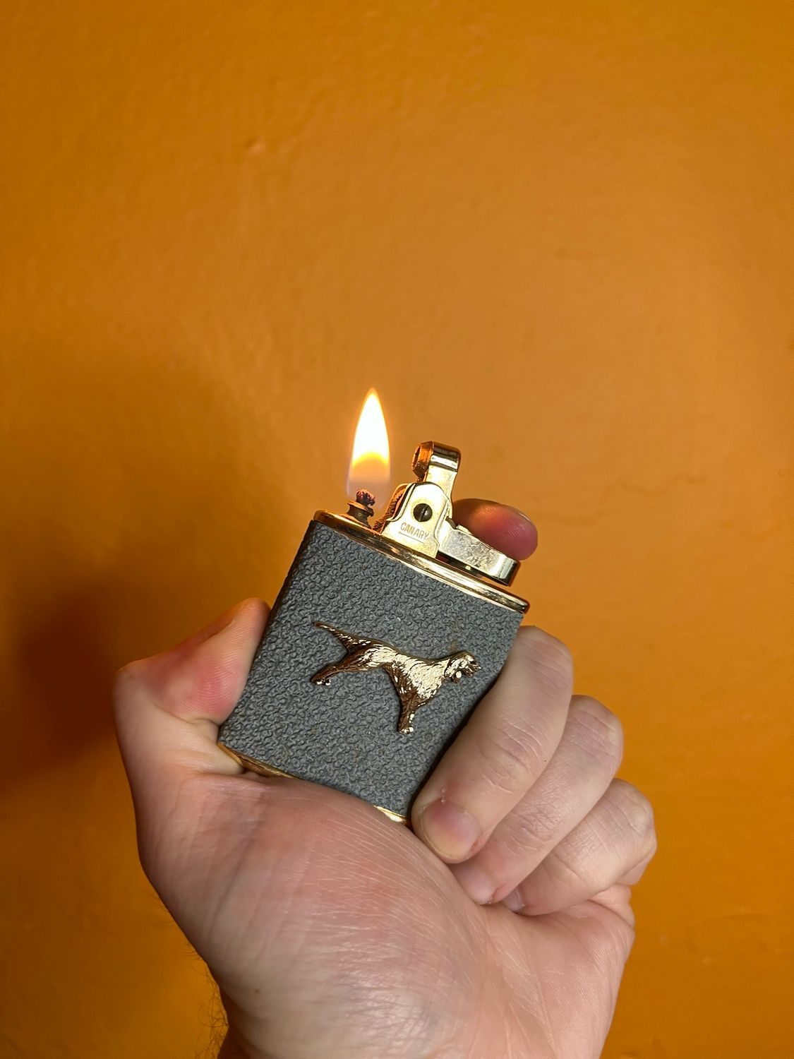 Pointing Hunting Dog Canary Musical Lighter