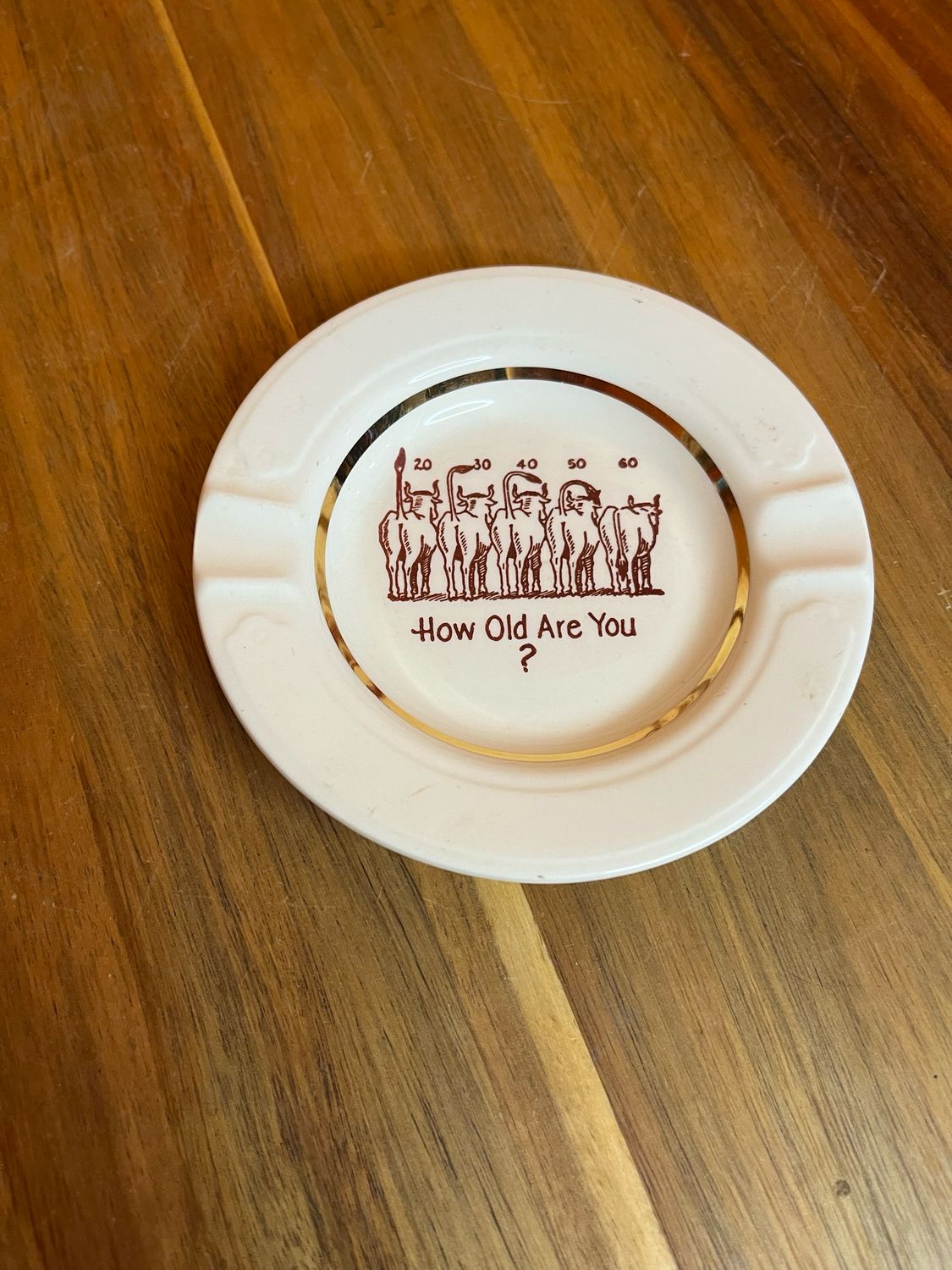 Hold Old Are You Adult Humor Ashtray