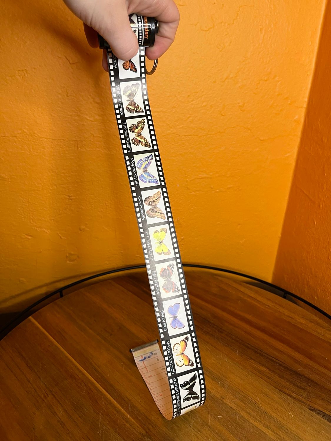 Niagara Falls Souvenir Butterfly Species Reference Keychain