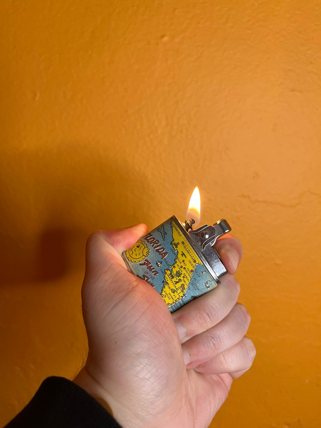 Fun In The Sun Florida Souvenir Lighter