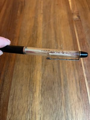 SS Rotterdam Holland America Cruise Ship Pen