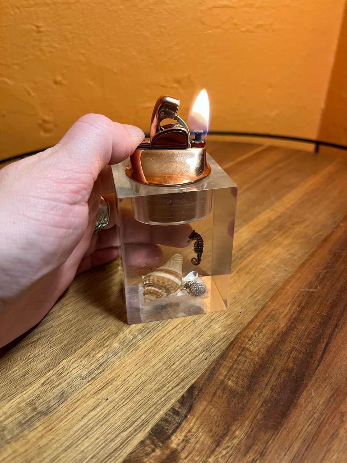 Sea Life Diarama Lucite Table Lighter