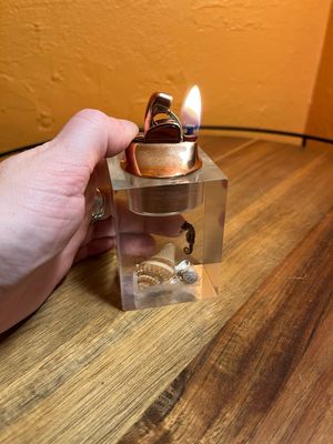 Sea Life Diarama Lucite Table Lighter