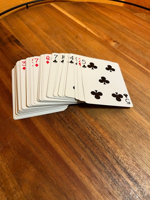 Camel Choice Quality Card Deck