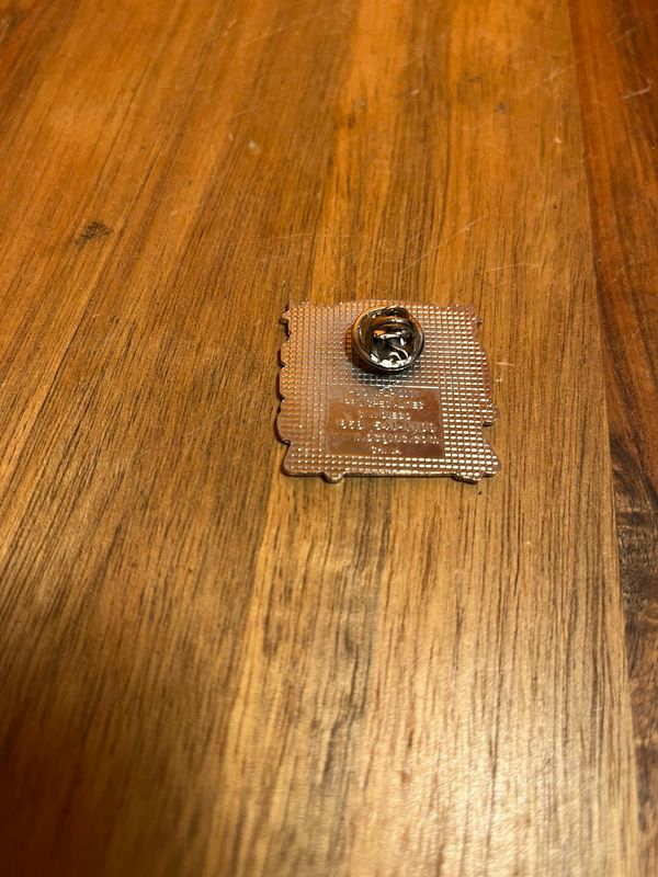 Pittsburgh Steelers Super Bowl Champions Pin