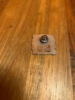 Pittsburgh Steelers Super Bowl Champions Pin