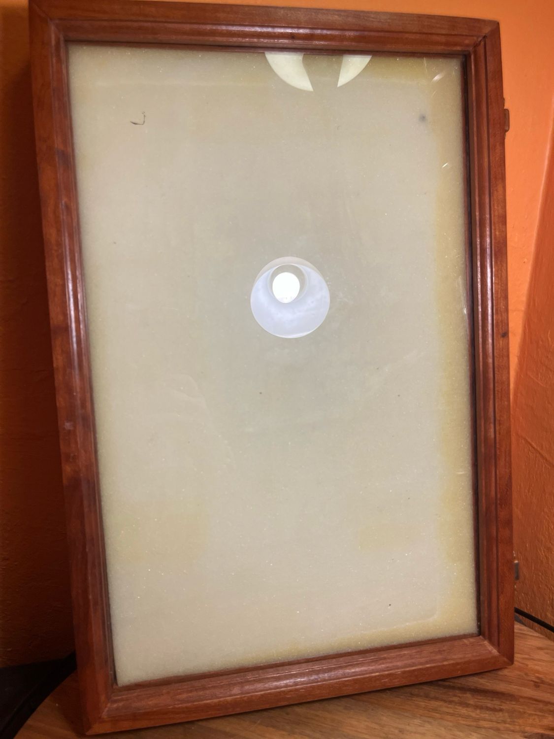 Wood &amp; Glass Display Case