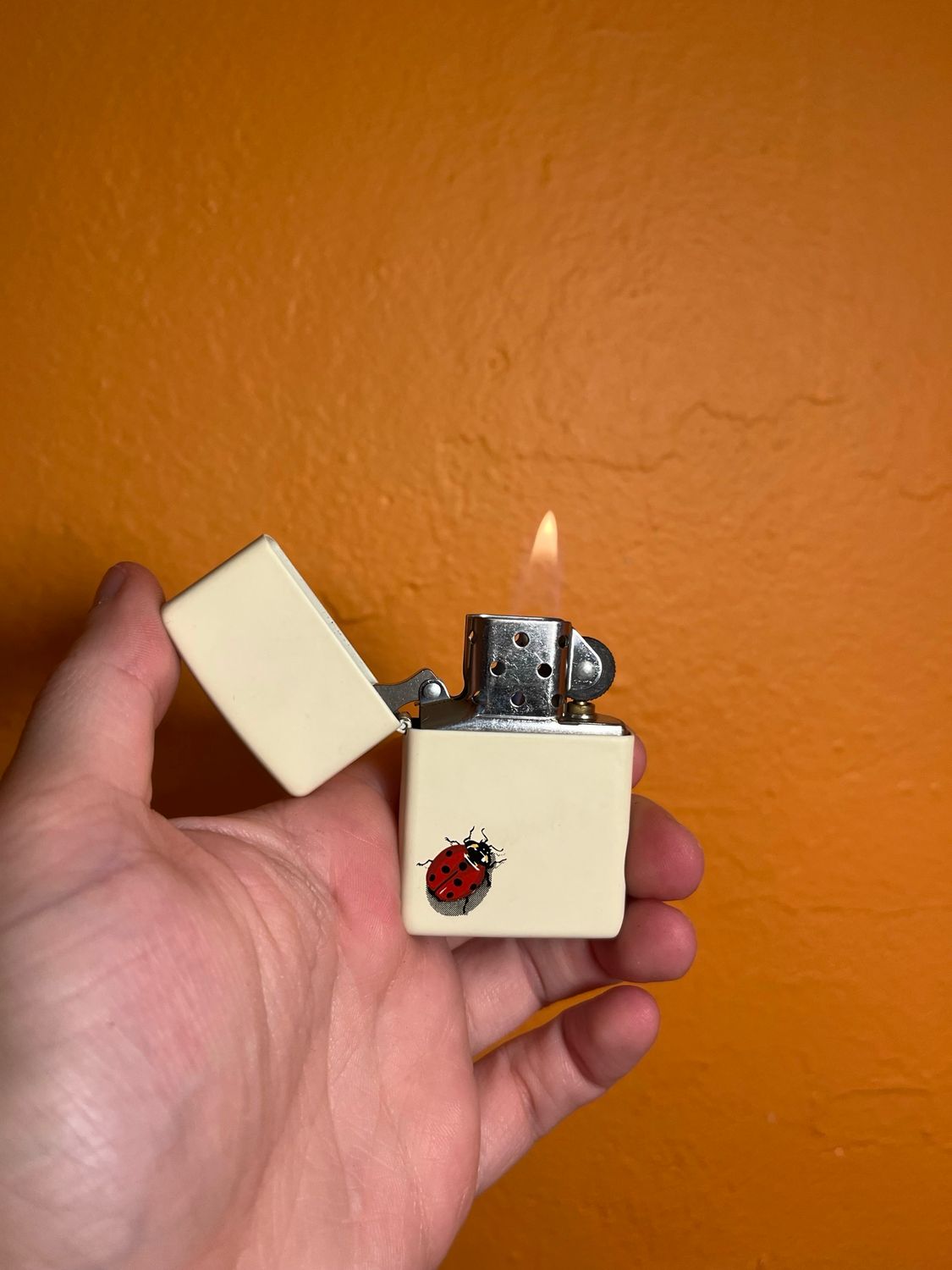 2009 Ladybug Zippo Lighter
