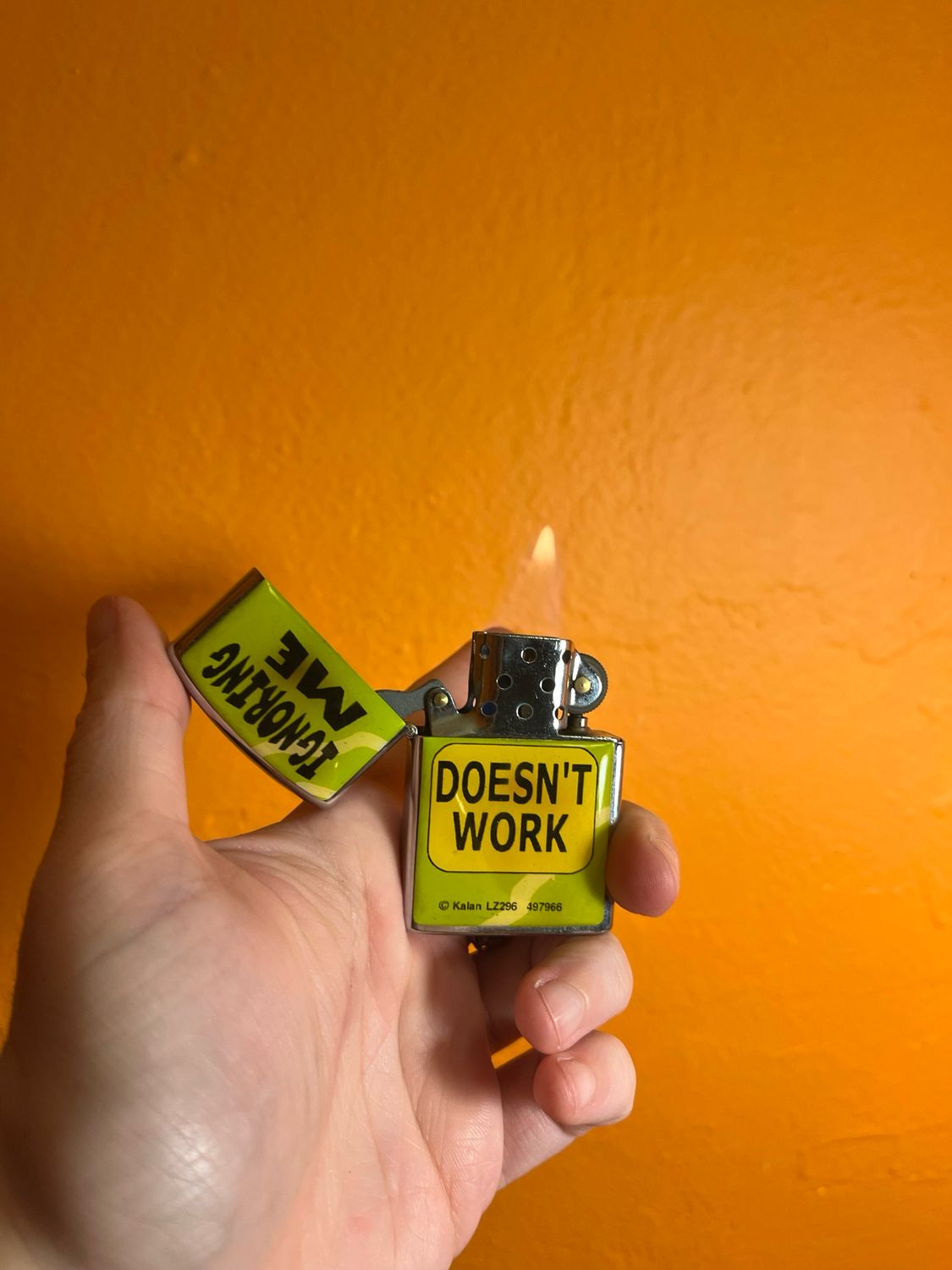 Ignoring Me Doesn’t Work Flip Top Lighter