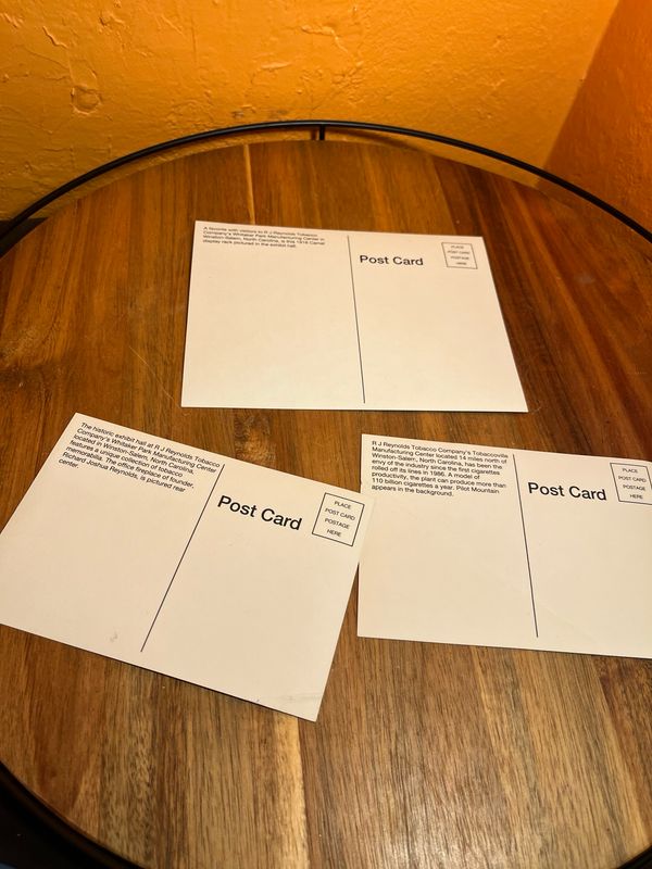 Camel Postcards Set