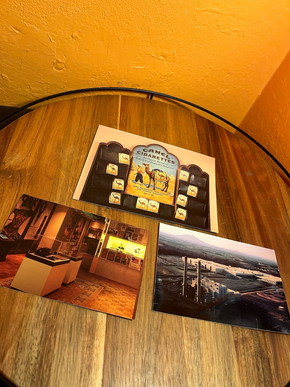 Camel Postcards Set