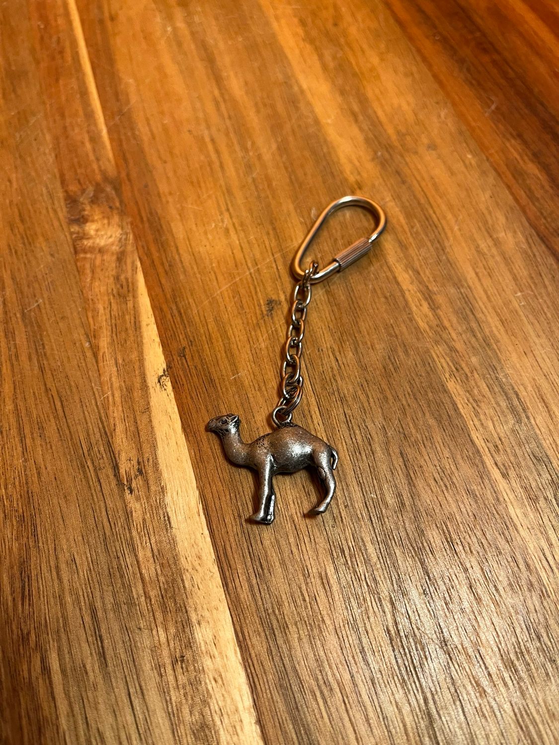 Camel Keychain