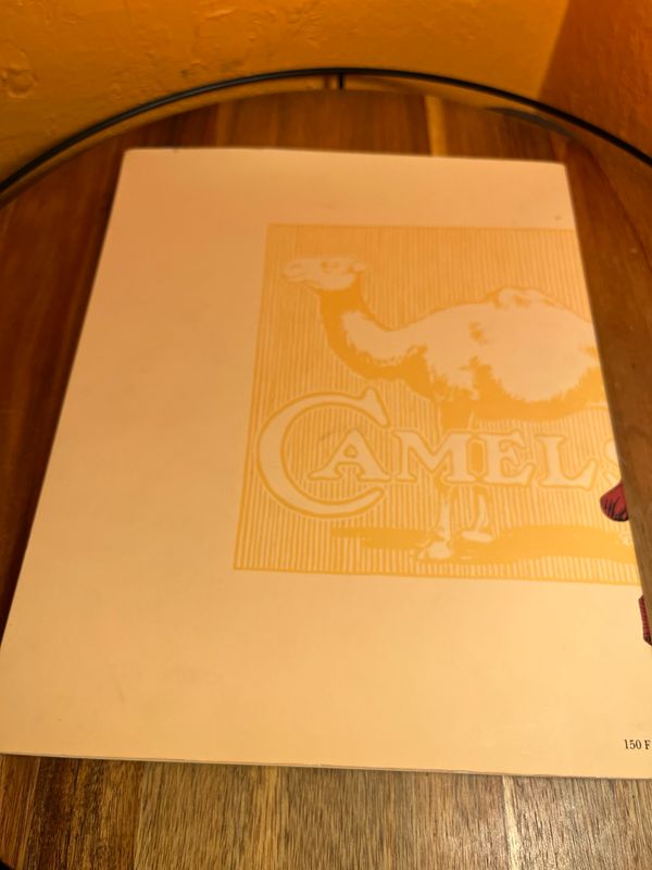 Les Adventures Publicitaires D’un Dromadaire French Camel Informational Book