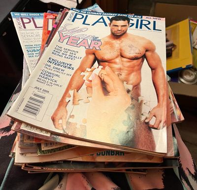 Playgirl Magazines By Issue READ DESCRIPTION