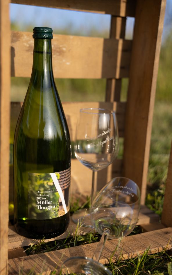 Müller Thurgau 2024