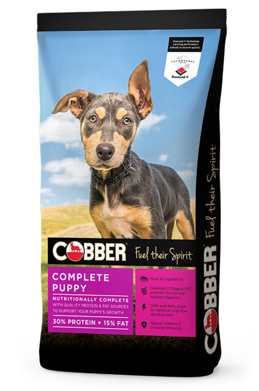 Cobber Puppy 20kg