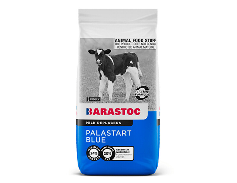 Barastoc Palastart Blue