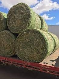4x4 Lucerne Round Bale