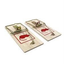Mouse Wood Snap Trap 2pk