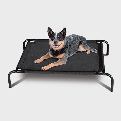 Dog Bed Flea Free Mesh