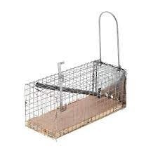 Bainbridge Mouse Trap - Cage 11.5cm