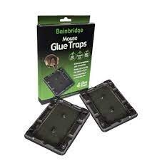 Mouse Glue Trap 4 pack