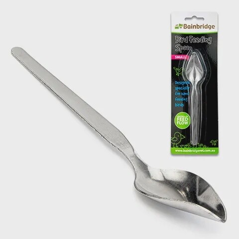 Bird Feeding Spoon Large