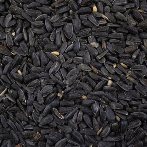 Avigrain Black Sunflower 15kg
