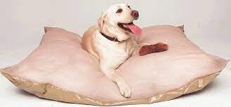 Pet Pillow Flea Free Pillow