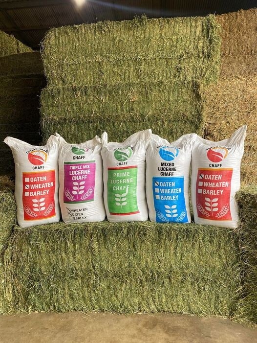 Gatton Wheaten Chaff