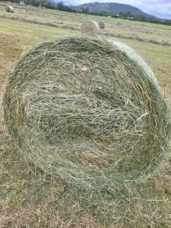 4x4 Grassy Lucerne Round Bale