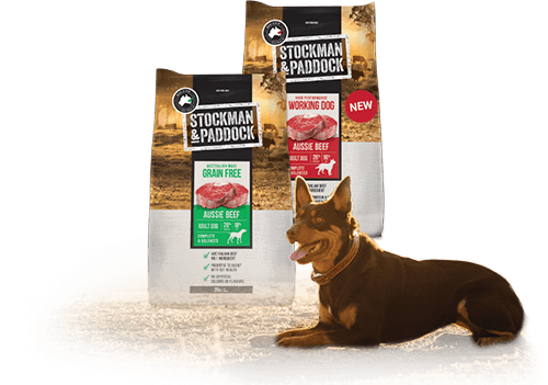 Stockman &amp; Paddock Dog Food