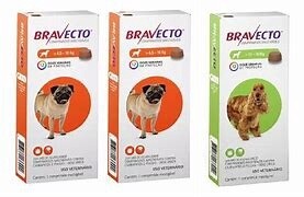 Bravecto for Dogs