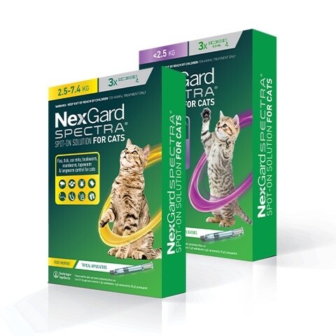 Nexgard Spectra Cats