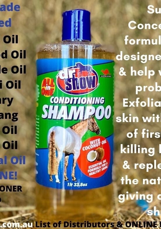 Dr Show All in 1 Shampoo