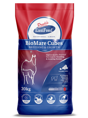 Prydes Bio Mare Cubes, Size: 20kg