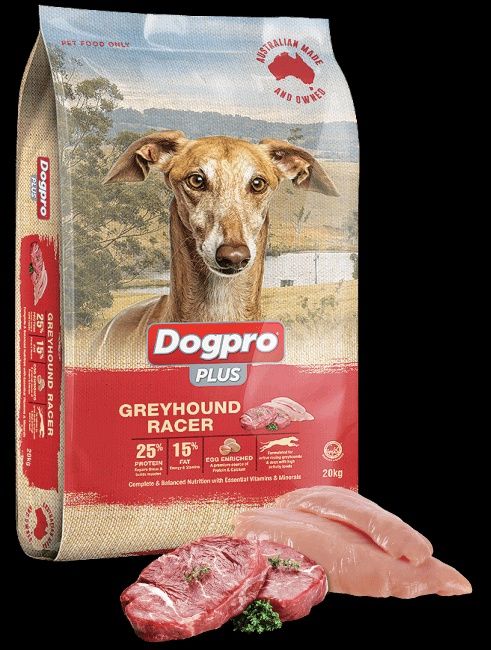 Dogpro Plus Greyhound Racer