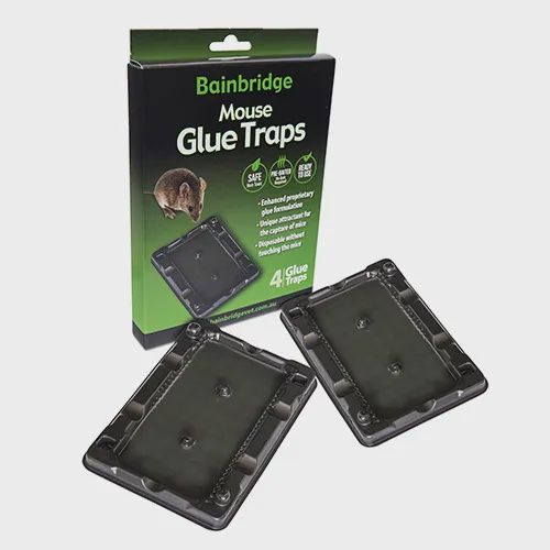 Mouse Glue Trap 4 pack