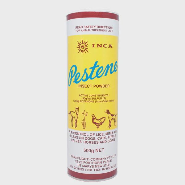 Inca Pestene Powder 500g