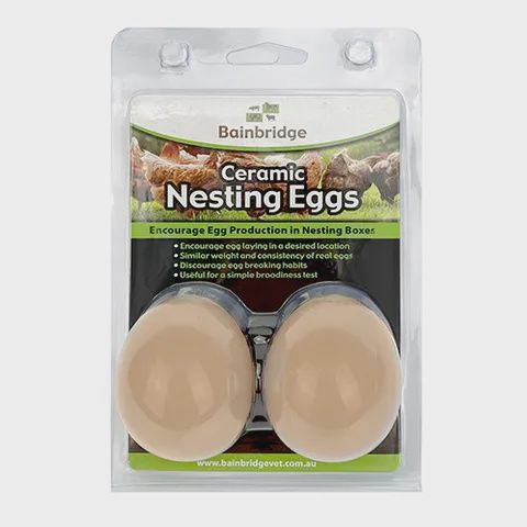 Nesting Eggs - Ceramic (2 pack)