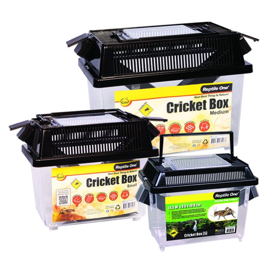 Cricket Holding Box with Feed Tube