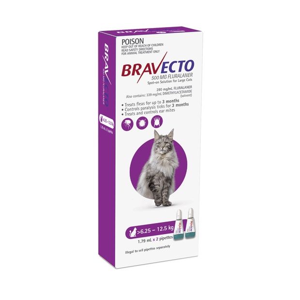 Bravecto Cats