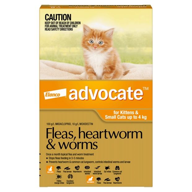 Bayer Advocate Cat