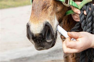 Wormers and Vaccines