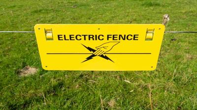 Electric Fencing