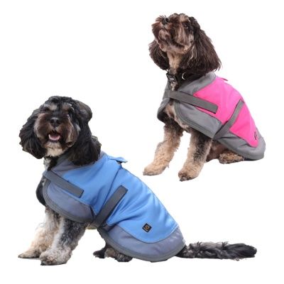 Dog Coat Night Walker