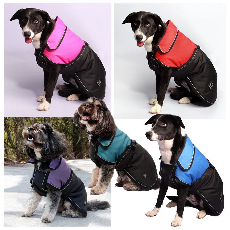 Dog Coat Blizzard