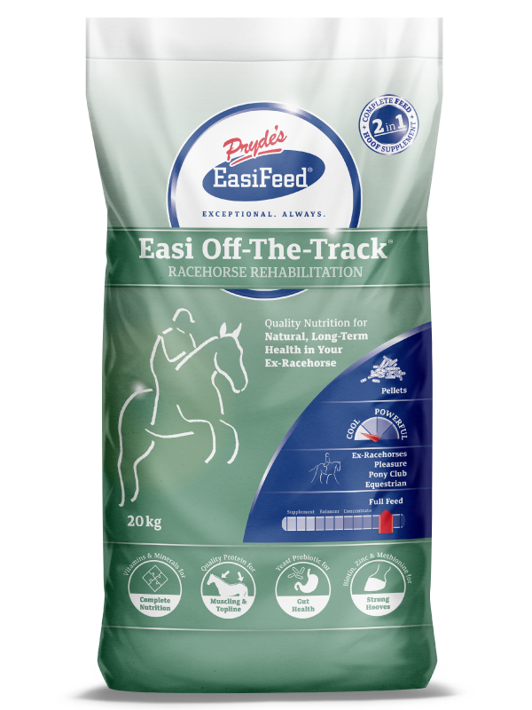 Prydes Easi Off-The-Track