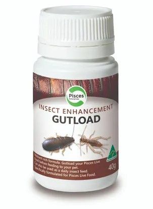 Gutload 40g