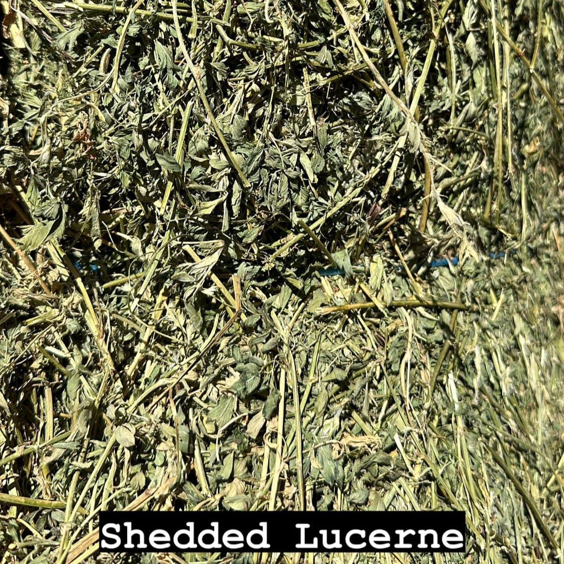 Shedded Lucerne Hay